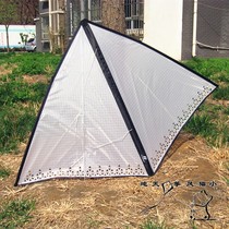 Shijiazhuang Freilein flying edge single line circling kite Raptor feather hollow indoor windless kite