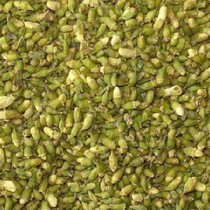 Chinese herbal medicine Chinese herbal medicine Sophora rice 500g