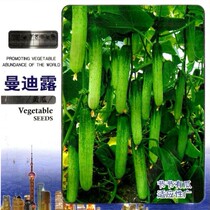 Mandilu Fruit Cucumber Dry Cucumber Seeds Quite Good Dry Cucumber Variety Full Female 200 Grain