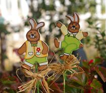 Simple flower pot decorated meatballs Flesh And Grass Companion Outlet Stock Woody Garden Rabbit Gardening Small plug-in Unit Price