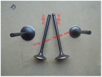 Zongshen Loncin Lifan Lovol ZS150LV200SB250 air-cooled tsunami engine intake and exhaust valves