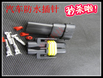 2P automotive connector 2 hole core wire waterproof connector 7028-2 8-21 11 High current to plug 100