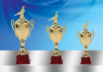 High-grade trophy Metal trophy pigeon pigeon carrier pigeon competition trophy factory direct sales number xg905