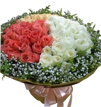 Three-color mix and match roses 99 bouquets birthday wishes send flowers anniversary wedding blessing flowers