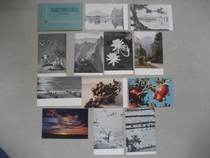 63 years old Master Beauty 6th National Photography Art Exhibition postcards selected works 12 full (system Litchi