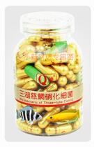 With ticket Hong Kong Q brand three lakes cichlid nitrifying bacteria 100 capsules for cichlid fish