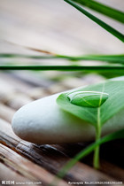 zhe aroma sleeping hypnosis compound essential oil to relieve anxiety suitable for insomnia neurasthenia 5ml