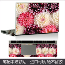 14-inch laptop universal shell film 13 3 colorful stickers 10-inch flat film