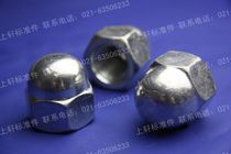 Galvanized fine tooth cover shaped nut GB923 cover type screw cap decorative nut screw cap m12m14m16m18m20