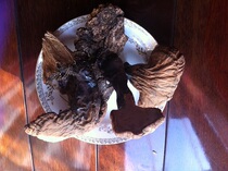 Changbai Mountain wild Ganoderma lucidum purple Ganoderma lucidum Wild