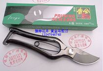 Imported Flower Cut Flowers Scissors Repair Branch Cut Black Gold Congo Tree Scissors Gold Horse Flower Cut