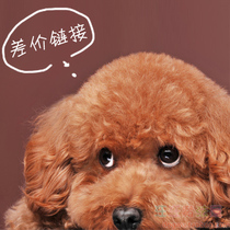 {Wang Wang Magic House} Special link for shipping fee to make up the difference