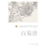 Template facsimile line drawing flower sketch template