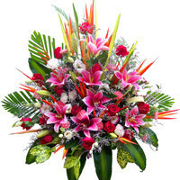  Birthday flowers Shanghai Flowers express Blessing flowers Condolences flowers Friends flowers Holiday flowers Order flowers