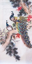Chinese painting flowers and birds peacock painting four feet splendid future pure hand-painted KM09