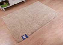 Export American brand CHI environmental protection large carpet boutique living room floor mat coffee table mat can be machine washed without hair