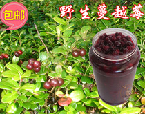 Wild cranberries Daxinganling wild cranberries add juice to care for women and pay attention to health