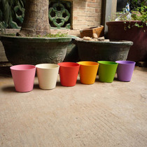 Crown Recommended-Taiwan Cuiyun 4 5 inch day style color basin (set of the basin office multi-meat special) Six color optional