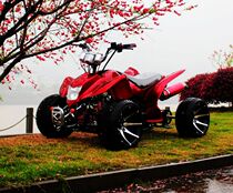 Promotion 125CC raccoon cat ATV 12 inch F1 off-road vehicle quad bike LCD flat instrument tire pro