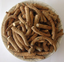 Yunnan Wenshan natural color Panax notoginseng root