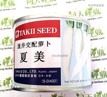 Natsumi heat-resistant radish seeds Japan imported white radish fruit radish seeds vegetable seeds 50 days harvest