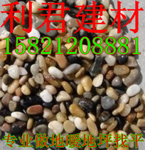 Fine bean stone Conch cement bean stone floor heating leveling Selected bean stone small pebbles (Leejun Building Materials)