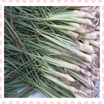 Fresh lemongrass marinated fresh lemongrass made of pure dew enzyme spice