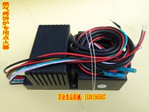 Commercial gas scone oven special igniter Gas electric baking pan Sauce cake machine pulse accessories