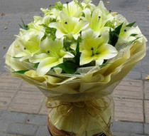  10 yellow lilies Shanghai flower shop wishes birthday flowers Hongkou Zhabei Baoshan florist same city flower delivery express