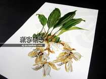 (Strange lip orchid goldfish orchid upside down orchid-1) illustration hand-painted realistic flower poster painting core decorative painting