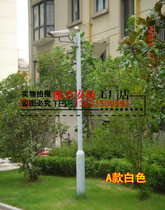 Direct selling 2 5 meters 3 5 meters 4 meters Bolt machine pole monitoring pole camera pole head pole White