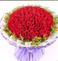 99 red rose bouquets of city flowers express Shanghai flower shop birthday proposal order flower delivery