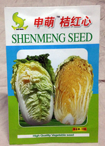 Four seasons spring orange red heart Orange Orange yellow heart Chinese cabbage seeds dense planting can be used as baby seed