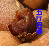 Food forest food House big longan longan new big nuclear small meat thick longan dried longan