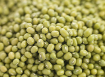 Wenzhou specially produced Nanxi River farmers own green beans