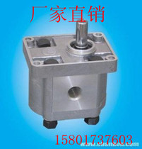 Factory Direct CBN-E304i(F304) 310 316 325 332 gear pump with high quality