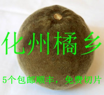 3 free one 5 free 2 aged mega huazhou orange red fruit Wang Huazhou orange red fruit slice anti-smog anti-greasy