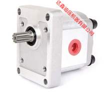 Taiwan Xinhong gear pump HGP-3A-F2R HGP-F3A-F8R protection fake one penalty ten