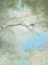 2021 new wedding dress vintage tie-dye theme background photo studio monochrome photo background childrens photography background cloth