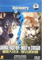 Genuine Discovery Animal Grand View Series: Beast Big showdown: Wolf VS Cougar (DVD)