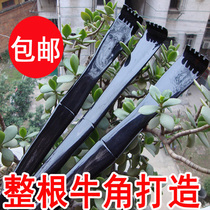 Hand-polished buffalo horn itching