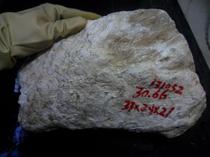 No. 131052 jade raw material bare stone natural raw stone Qinghai Kunlun Yushan expected to be green and white jade 30 66 kg