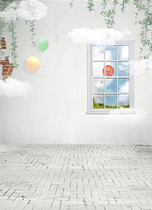 Korean photo studio photography background wedding dress children Taobao clothes photo background cloth digital background large picture 3293