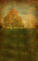 Vintage background cloth studio theme childrens wedding dress Taobao clothing photo background cloth background paper big picture 070