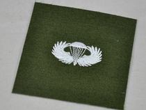 American USARMY Vietnam War Vietnam War Paratroopers Parachute Qualification Badge Skill Badge Badge Retired
