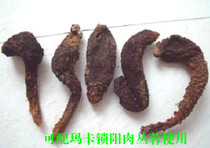 Tibet Wild Not Old Grass Grass Cistanche can be matched with Marca Lock Yang Meat bushes with 250g
