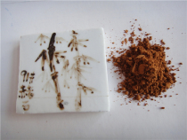 Peiyintang ceramic glaze color material (dry powder)-ocher (dry) series