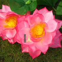 Lotus King powder Lotus lotus simulation silk flower Buddha Hall tributes for flowers and fruits Qingming sacrificial supplies YYH20