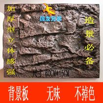 Feed box background board climbing box chameleon cage background plate glass box landscaping special thickening type