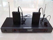 Art star ES-88 professional K song speech conference home wireless one drag two collar clip microphone microphone